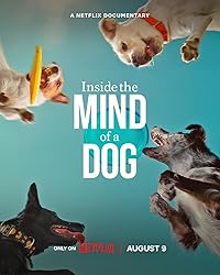 Inside the Mind of a Dog Hindi Dubbed English Movie Download 480p 720p 1080p Mp4Moviez
